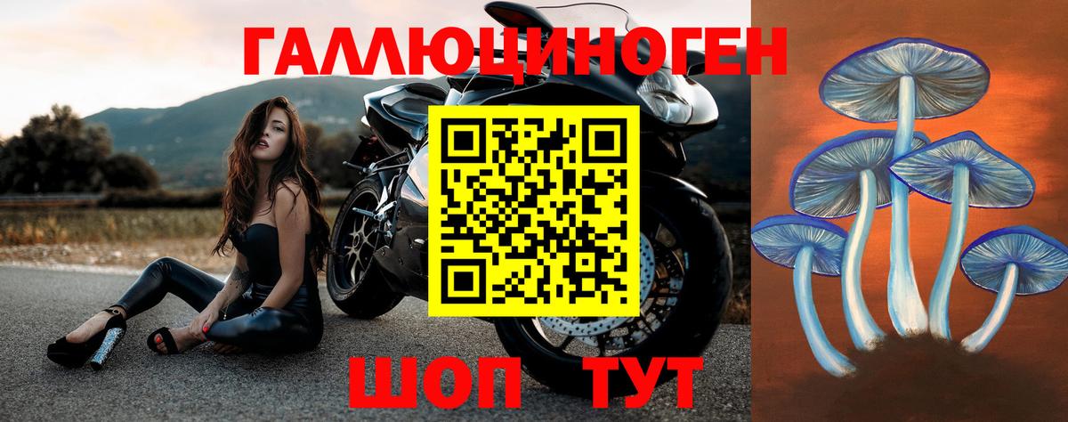 Галлюциногенные грибы мицелий Стрежевой